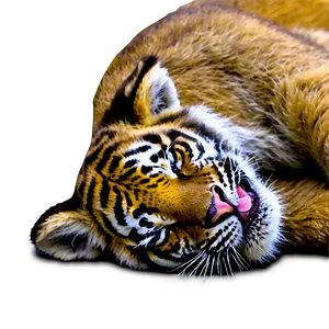 Sleeping Tiger Cub Png 75 PNG image