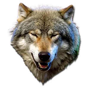 Sleeping Wolf Png 8 PNG image