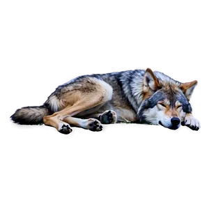 Sleeping Wolf Png Rgj13 PNG image