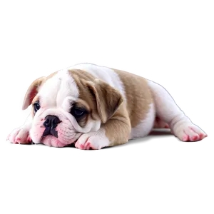 Sleepy Bulldog Puppies Png Edp PNG image