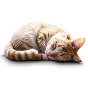 Sleepy Cat Meme PNG 47