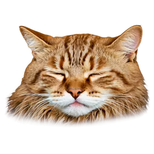 Sleepy Cat Meme Png 50 PNG image