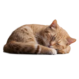 Sleepy Cat Meme PNG Vrv56