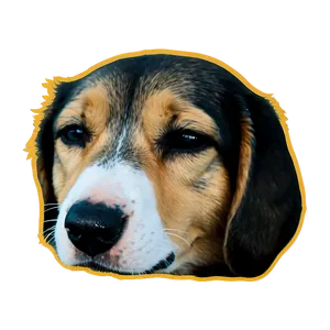 Sleepy Dog Transparent PNG Joh15 PNG
