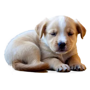 Sleepy Puppy Png 05232024 PNG image