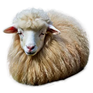 Sleepy Sheep PNG Gjj