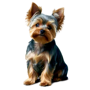 Sleepy Yorkie Png 58 PNG image