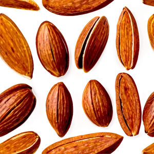 Sliced Almond PNG 05242024
