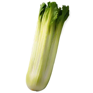 Sliced Celery PNG 06252024