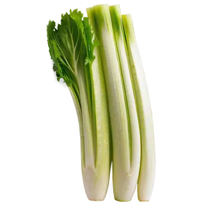 Sliced Celery PNG 06252024 PNG