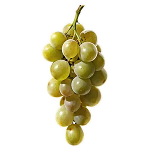 Sliced Grape PNG 26