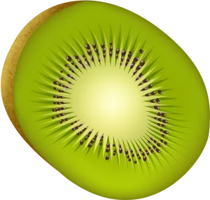 Sliced Kiwi Fruit Illustration PNG image