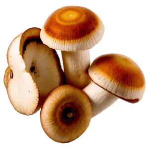Sliced Mushrooms Png 05242024 PNG image