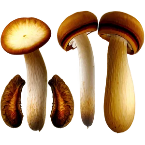 Sliced Mushrooms Png 75 PNG image