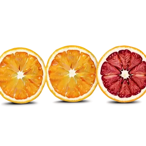 Sliced Oranges PNG 06112024 PNG