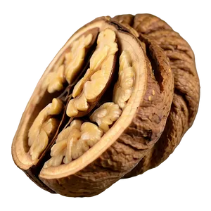 Sliced Walnut PNG 06122024
