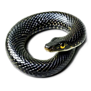 Slithering Black Snake Png Aut PNG image