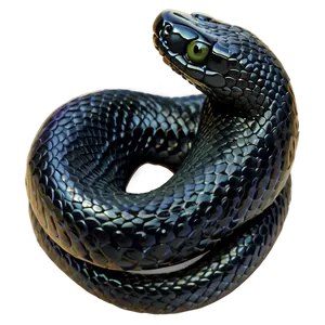 Slithering Black Snake Png Yfk PNG image