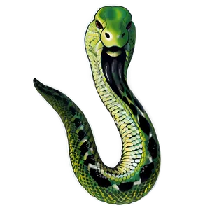 Slithering Snake Illustration Png Vfp PNG image