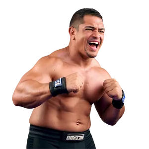 Smackdown Action Shots PNG Nhd