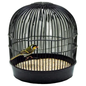 Small Bird Cage PNG Vqf22 PNG