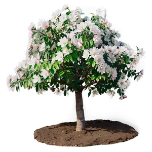 Small Blooming Tree PNG Kjb47 PNG
