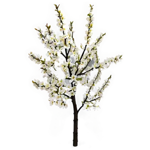 Small Blooming Tree PNG Lya63 PNG