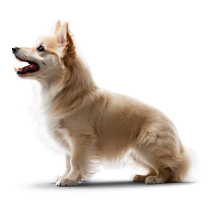 Small Dog Barking Png 89 PNG image