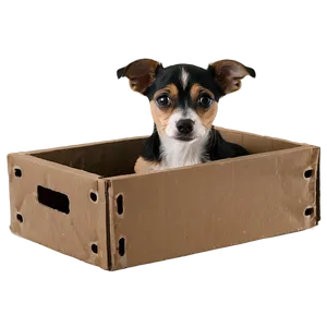 Small Dog In A Box PNG 87