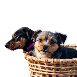 Small Dog In Basket Png 55 PNG image