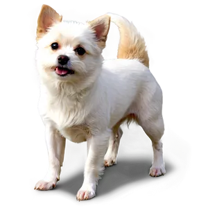 Small Dog In Snow Png Anb PNG image