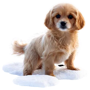 Small Dog In Snow PNG Lvg