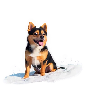 Small Dog In Snow Png Rll19 PNG image