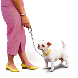 Small Dog On A Leash PNG 06252024
