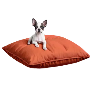 Small Dog On A Pillow PNG Ykb
