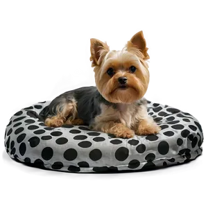 Small Dog Ready For Bed PNG 06252024 PNG