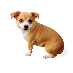 Small Dog Transparent Png Djw PNG image