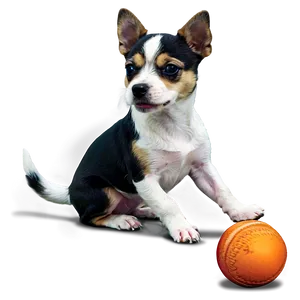 Small Dog With A Ball PNG 49