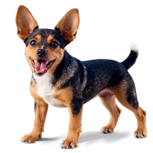 Small Dog With Big Ears Png Qkw38 PNG image