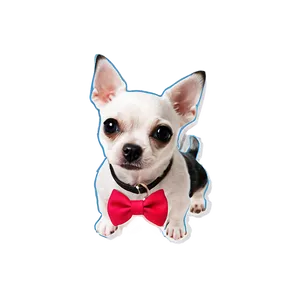 Small Dog With Bow Tie Png Uwu21 PNG image