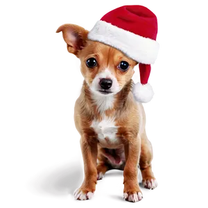 Small Dog With Christmas Hat Png 06252024 PNG image