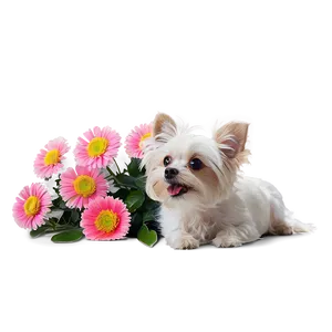 Small Dog With Flowers PNG 06252024