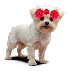 Small Dog With Flowers PNG 83