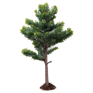 Small Evergreen Tree PNG Acu83 PNG