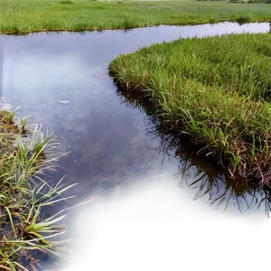 Small Farm Pond PNG Epe41 PNG