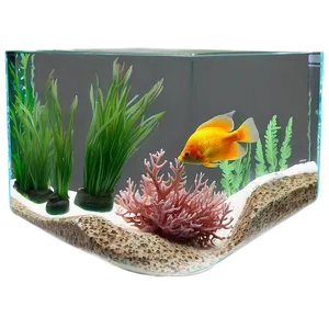 Small Fish Tank PNG 40 PNG
