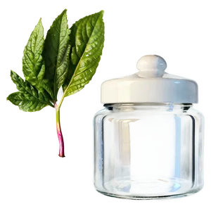 Small Glass Jar PNG Tpd65 PNG