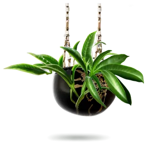 Small Hanging Plant PNG Wuq42 PNG