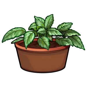 Small Herb Plant PNG 06132024