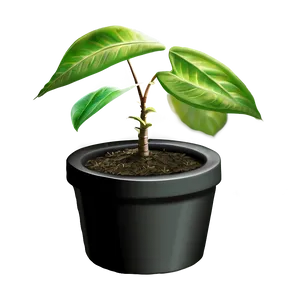 Small Plant D PNG image